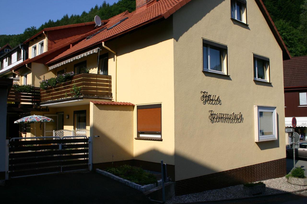 Haus-Kummeleck-Wohnung-3 Bad Lauterberg Esterno foto