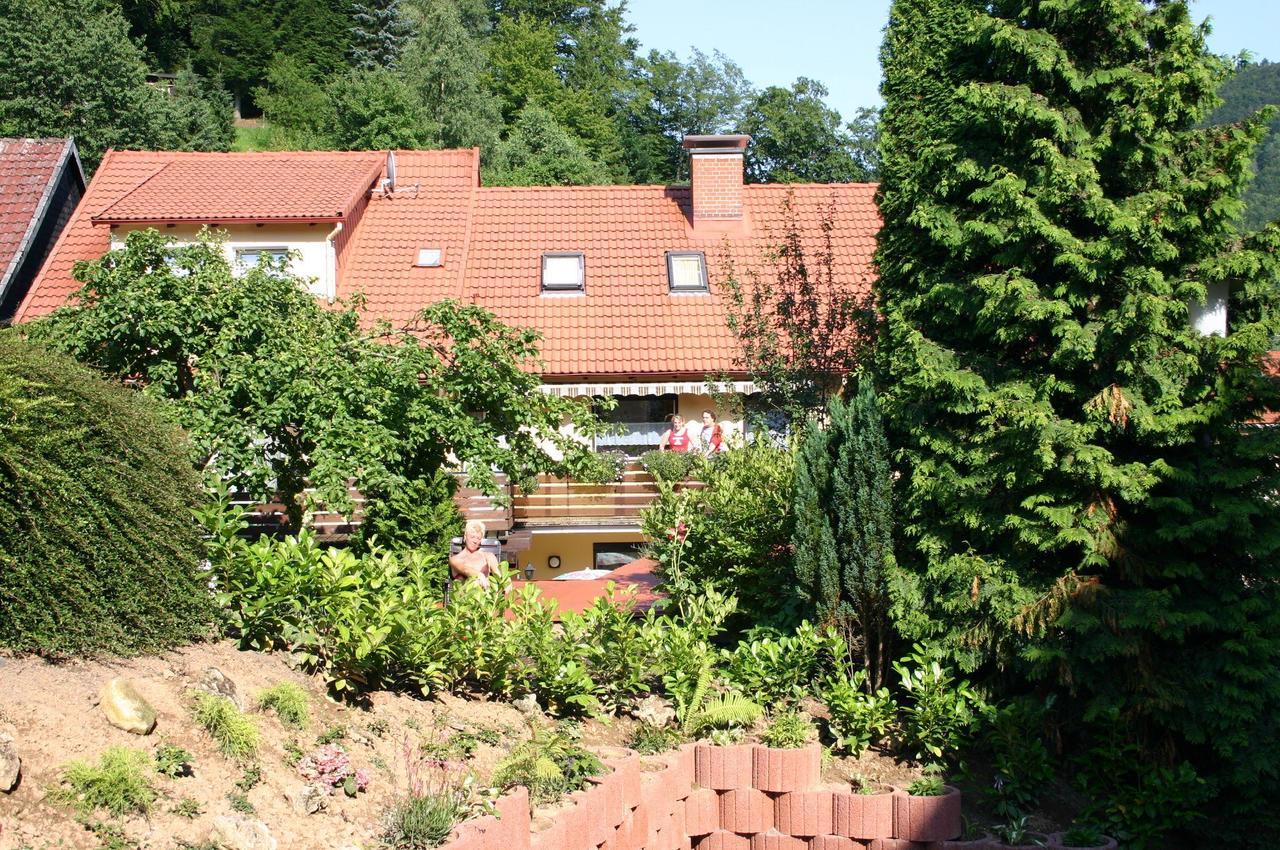 Haus-Kummeleck-Wohnung-3 Bad Lauterberg Esterno foto
